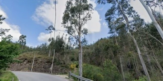Terreno Agricola ou Rústico para Venda em Lordelo
