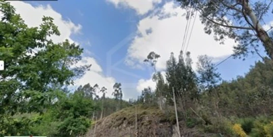 Terreno Agricola ou Rústico para Venda em Lordelo