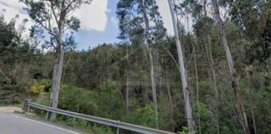 Terreno Agricola ou Rústico para Venda em Lordelo