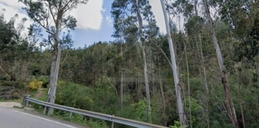 Terreno Agricola ou Rústico para Venda em Lordelo Foto 3