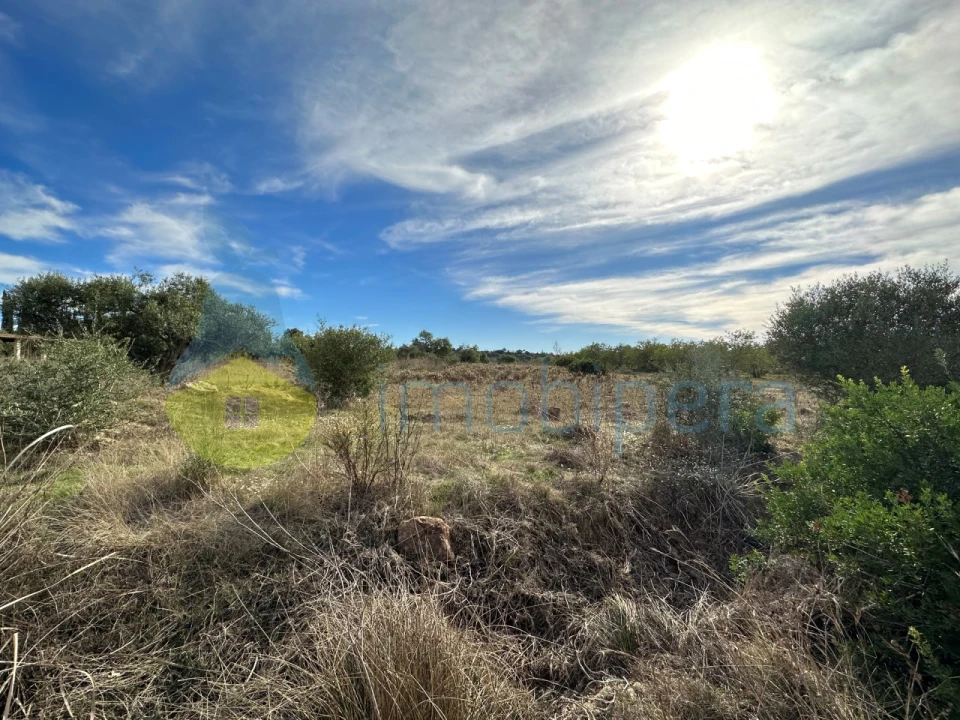 Terreno Agricola ou Rústico para Venda em Algoz e Tunes Foto 4
