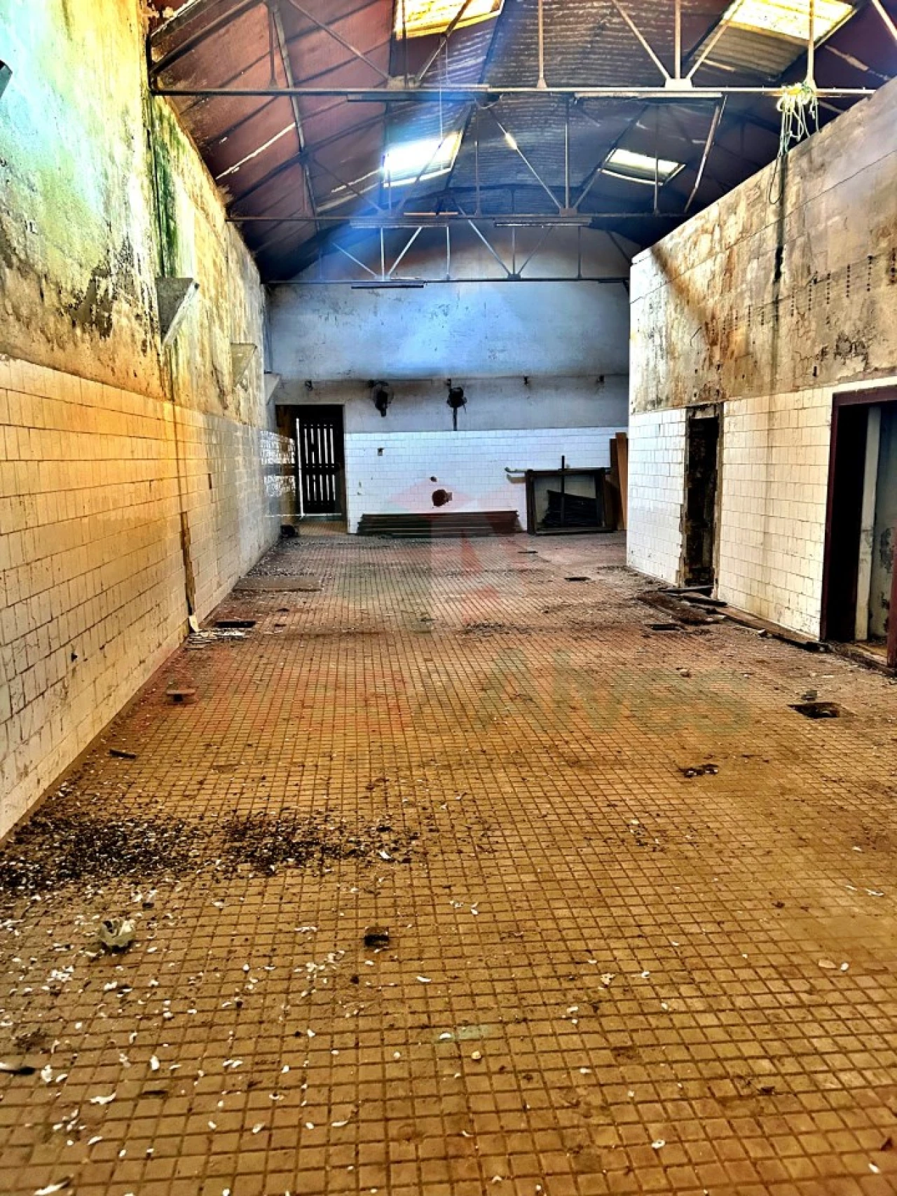 Armazém para Venda em Milheiros Foto 8