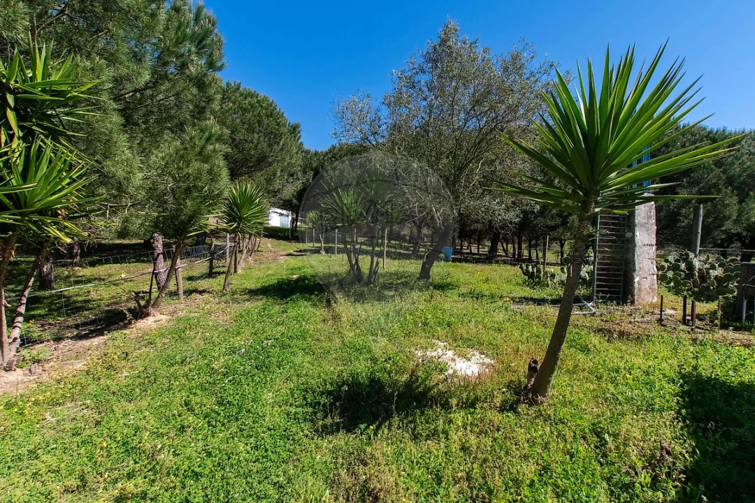 Moradia T6 para Venda em Alcoentre Foto 19