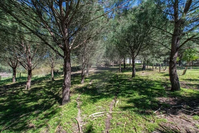 Moradia T6 para Venda em Alcoentre