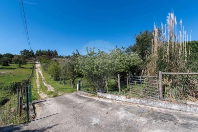 Moradia T6 para Venda em Alcoentre