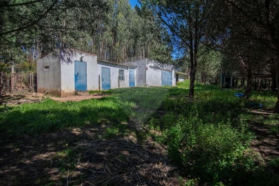 Moradia T6 para Venda em Alcoentre