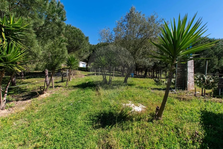 Moradia T6 para Venda em Alcoentre Foto 19