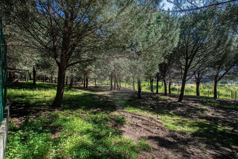 Moradia T6 para Venda em Alcoentre Foto 23