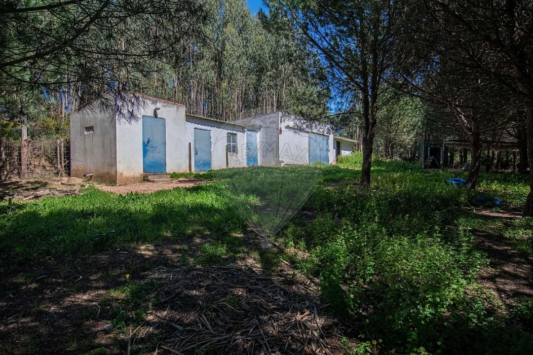 Moradia T6 para Venda em Alcoentre Foto 21