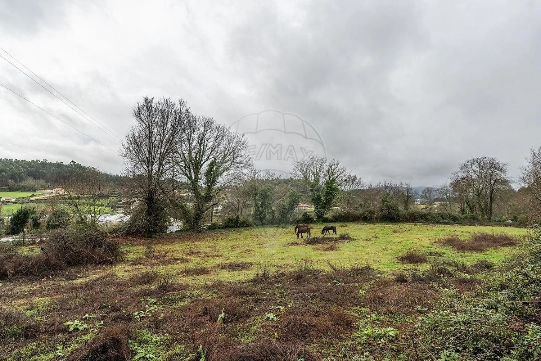 Moradia T4 para Venda em Calvos e Frades Foto 29