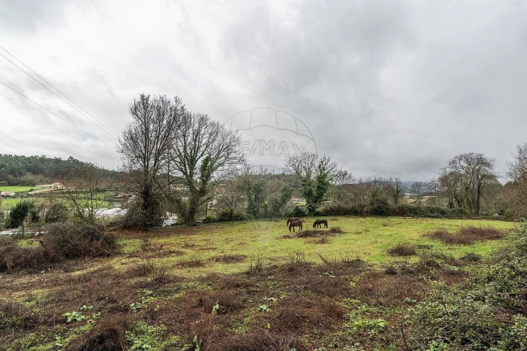 Moradia T4 para Venda em Calvos e Frades Foto 29