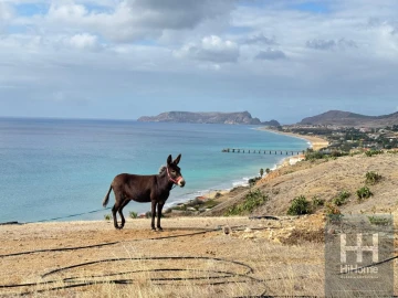 Terreno para Venda em Porto Santo