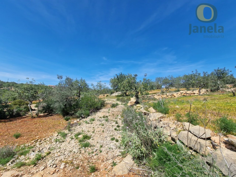 Terreno Agricola ou Rústico para Venda em Conceição e Estoi Foto 3