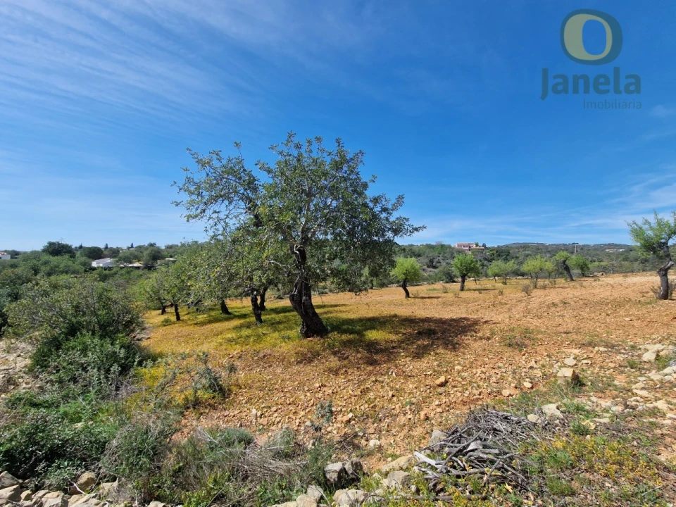 Terreno Agricola ou Rústico para Venda em Conceição e Estoi Foto 1