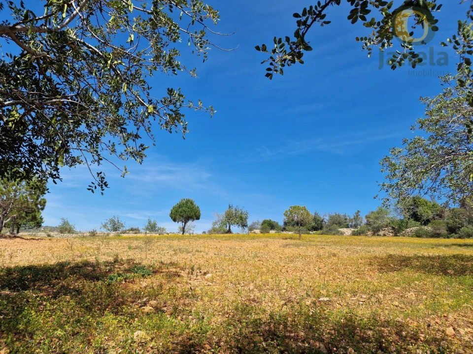 Terreno Agricola ou Rústico para Venda em Conceição e Estoi Foto 12