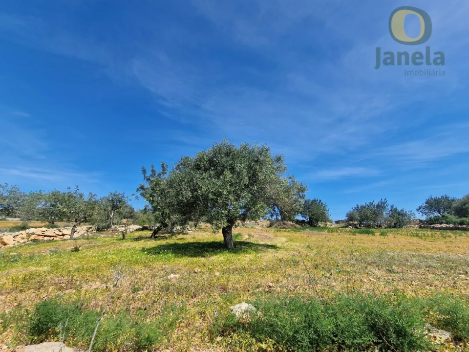 Terreno Agricola ou Rústico para Venda em Conceição e Estoi Foto 15