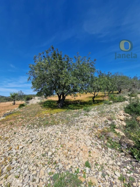Terreno Agricola ou Rústico para Venda em Conceição e Estoi