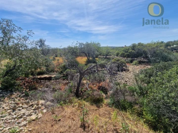 Terreno Agricola ou Rústico para Venda em Conceição e Estoi