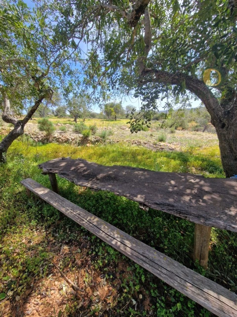 Terreno Agricola ou Rústico para Venda em Conceição e Estoi