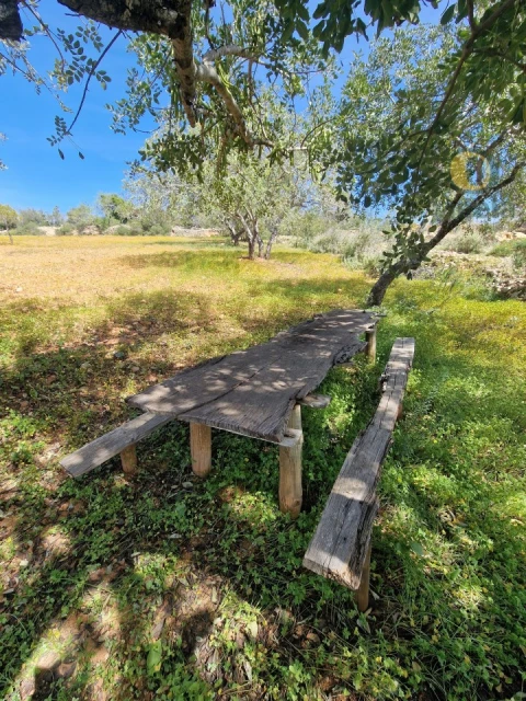 Terreno Agricola ou Rústico para Venda em Conceição e Estoi
