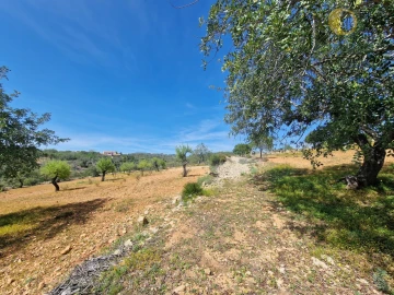 Terreno Agricola ou Rústico para Venda em Conceição e Estoi