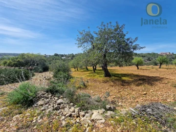 Terreno Agricola ou Rústico para Venda em Conceição e Estoi