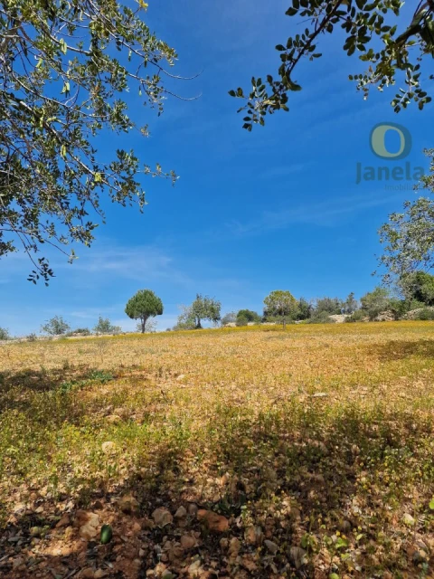 Terreno Agricola ou Rústico para Venda em Conceição e Estoi