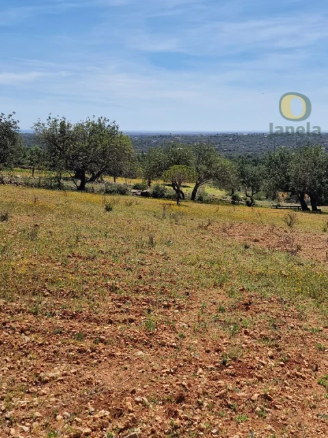 Terreno Agricola ou Rústico para Venda em Conceição e Estoi