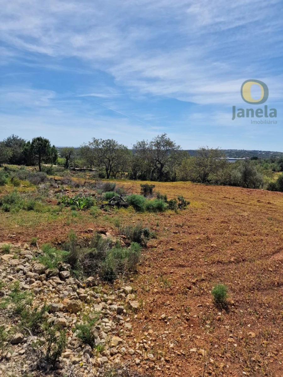 Terreno Agricola ou Rústico para Venda em Conceição e Estoi Foto 4