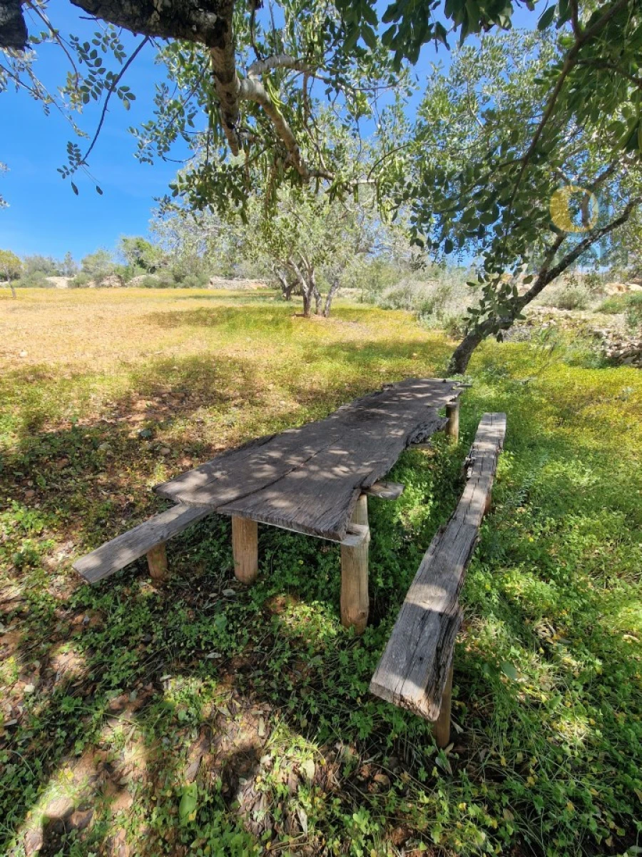 Terreno Agricola ou Rústico para Venda em Conceição e Estoi Foto 10