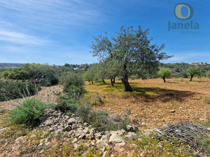 Terreno Agricola ou Rústico para Venda em Conceição e Estoi Foto 6