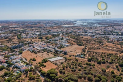 Terreno para Venda em Montenegro