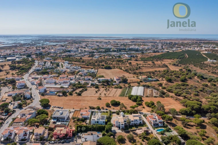 Terreno para Venda em Montenegro Foto 3