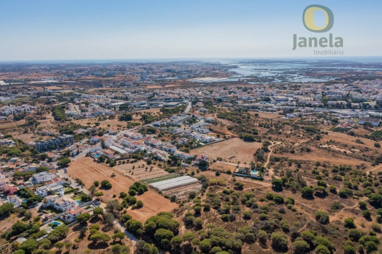 Terreno para Venda em Montenegro Foto 10