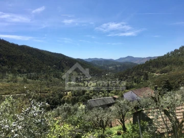 Quinta T3 para Venda em Figueiró dos Vinhos e Bairradas