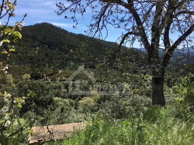 Quinta T3 para Venda em Figueiró dos Vinhos e Bairradas Foto 38