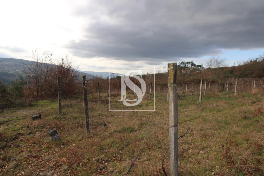 Terreno para Venda em Salvador do Monte Foto 16