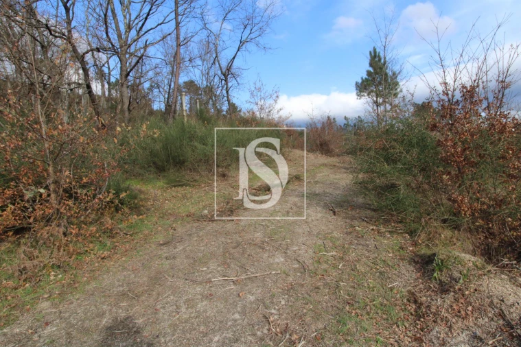 Terreno para Venda em Salvador do Monte Foto 2