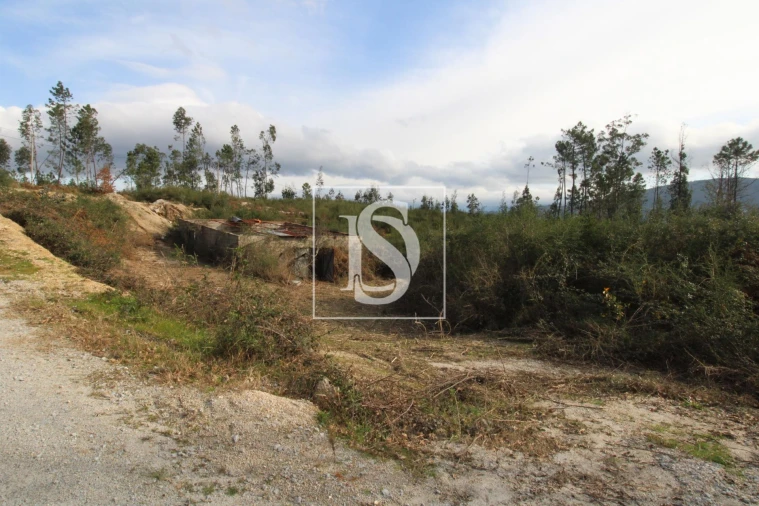 Terreno para Venda em Salvador do Monte Foto 13