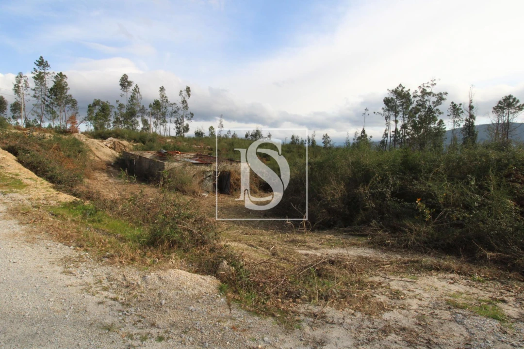 Terreno para Venda em Salvador do Monte Foto 13