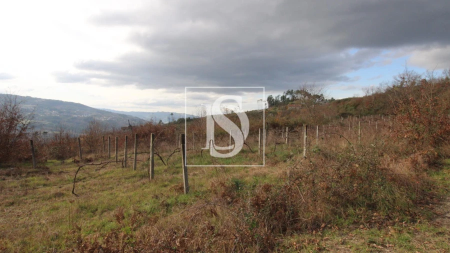 Terreno para Venda em Salvador do Monte