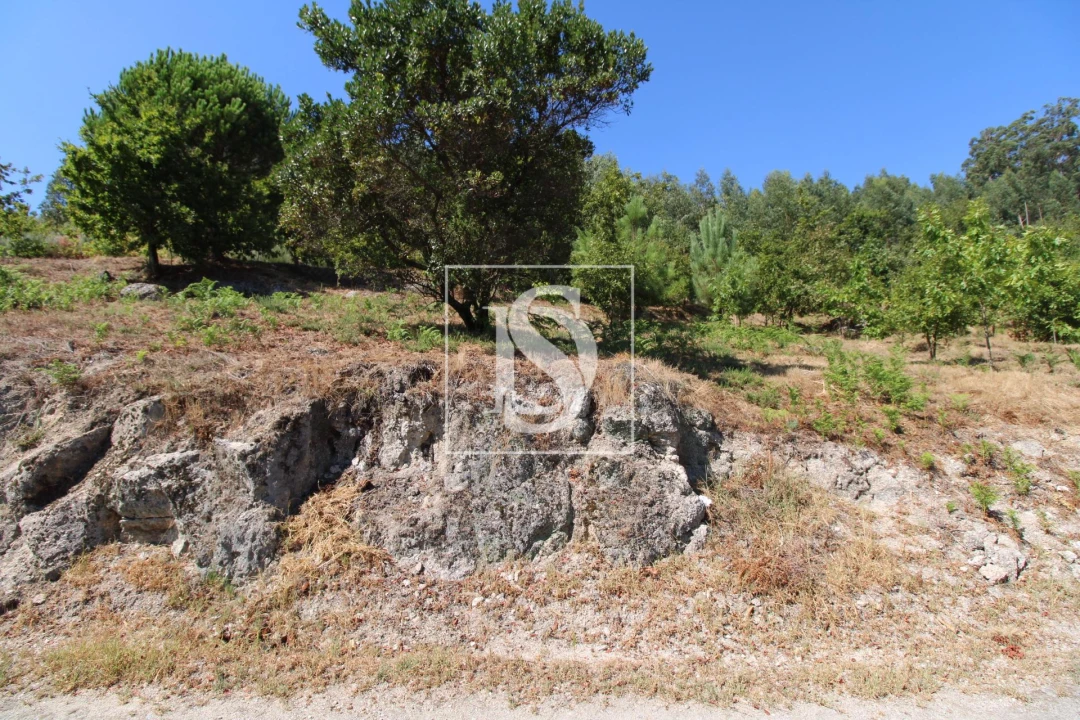 Terreno para Venda em Salvador do Monte Foto 6