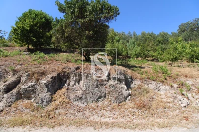 Terreno para Venda em Salvador do Monte