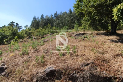 Terreno para Venda em Salvador do Monte