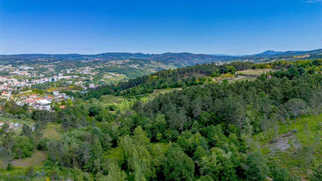 Terreno para Venda em Lomba Foto 10