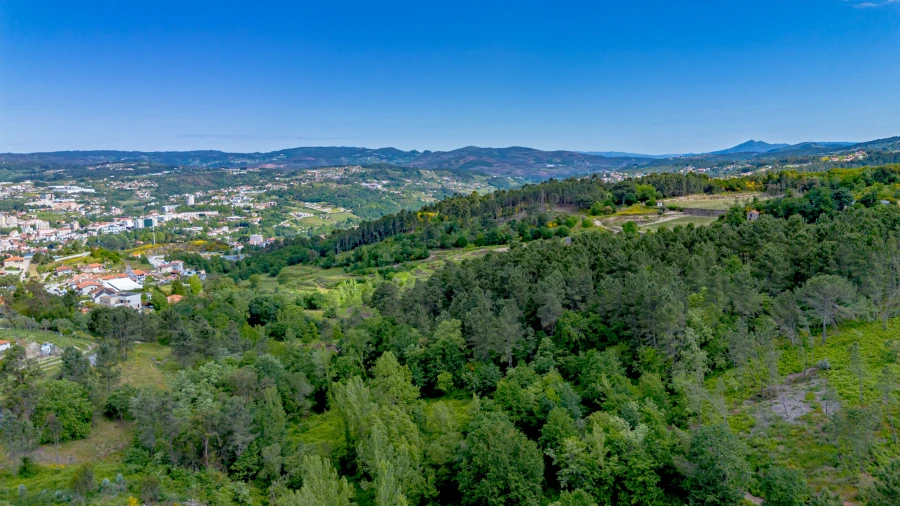 Terreno para Venda em Lomba Foto 10