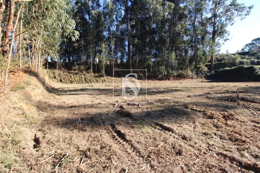 Terreno para Venda em Telões Foto 4