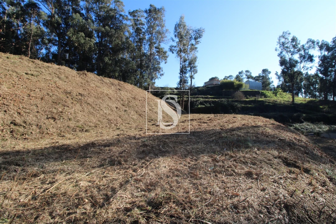 Terreno para Venda em Telões Foto 6