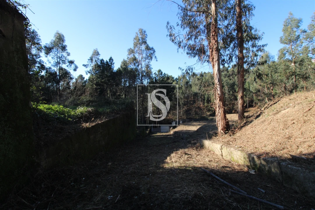 Terreno para Venda em Telões Foto 9