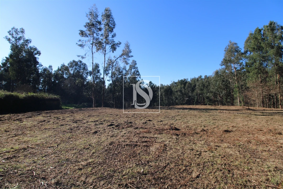 Terreno para Venda em Telões Foto 3